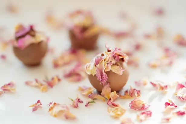 Moon Kazino Android/iOS Lietotne